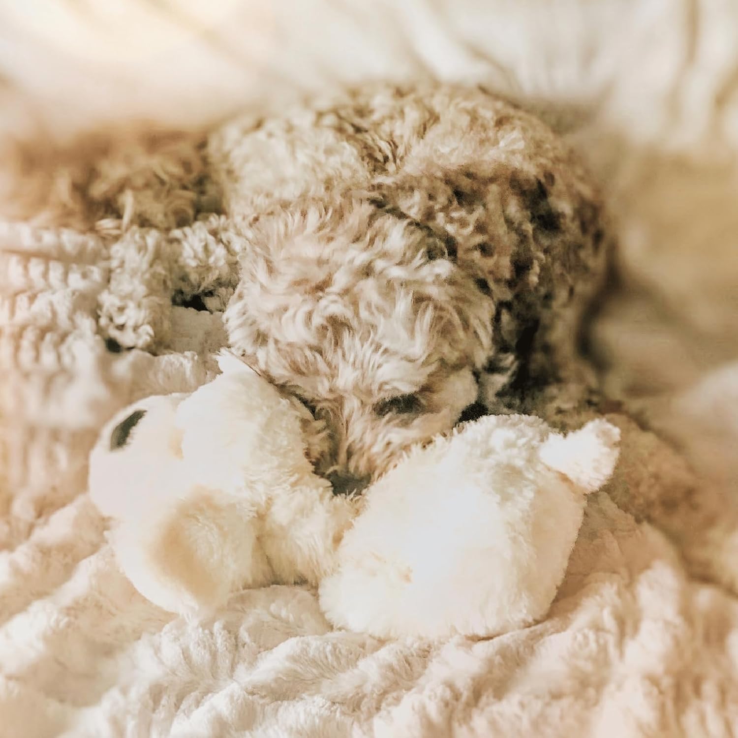Snuggle Puppy Original Calming Heartbeat Toy for Medium Dogs 25-70 lbs Cream